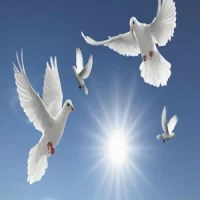 The Spirit of God shown in doves soaring in the sky-200-200 POST